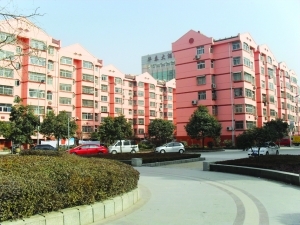 新兴南区，三室一厅