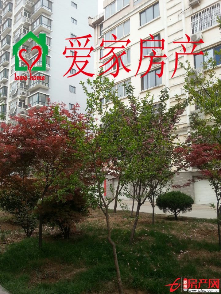 荆善南苑升值空间大，交通便利，有暖气