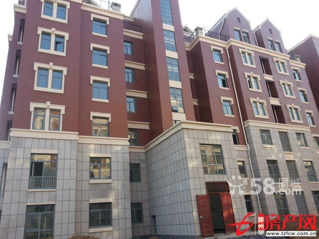 【水善园】豪华复式毛坯现房出售