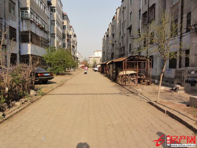 出租别墅，可商住两用，可当小饭桌、培训班使用
