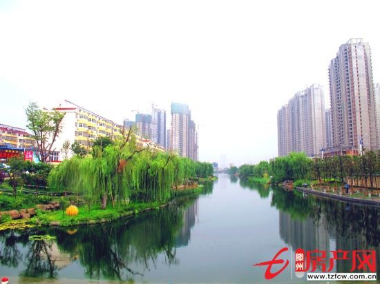 景观房，学区房