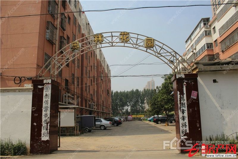 出售奥林花园，黄金四楼，稀缺多层住房，一百平方，送储藏室
