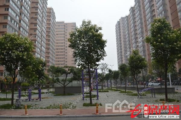 问天三期简装、环境优雅【全款】