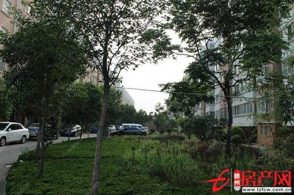 荆善安居，简单装修，证满五年，需全款，储藏室。
