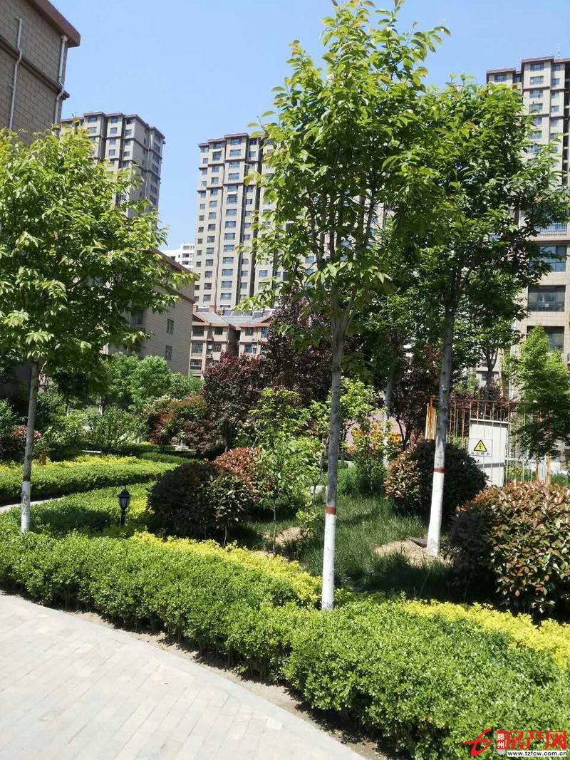 善南小区多层高，简装，有证，含储有暖