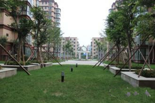 忠真新天地，精装修，两室一厅朝阳，证满两年，可贷款。