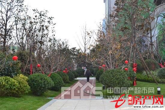 涵翠苑，高档装修，南北同透，拎包入住无绑