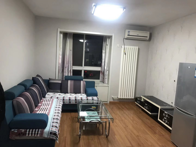 精装新公寓房50平，拎包入住，家具齐全