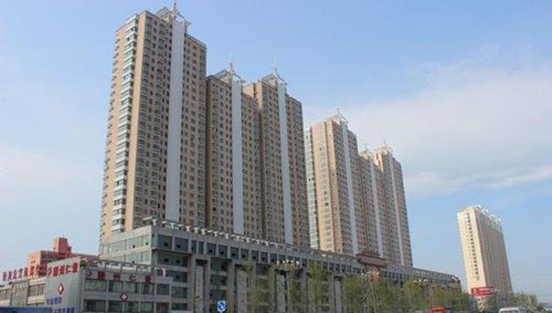 杏腾国际